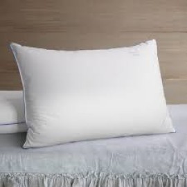 Pillows 600